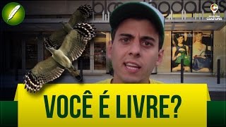 Você é Livre Poesia  Fabio Brazza [upl. by Earized910]