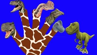 Finger Family Crazy Dinosaur Family Nursery Rhyme  Funny Finger Family Songs For Children In 3D [upl. by Gaby]