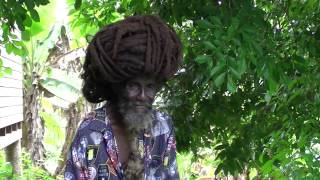 Rastaman Jungle Session [upl. by Nivat]