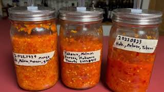 Fermented Hot Sauce Via the Pepper Mash Method Part 1 Preparation amp Kickoff [upl. by Eikram672]