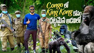 Mysterious Wild Congo 4K  GORILLAS in the Forest  Exploring African Wild  Ravi Telugu Traveller [upl. by Xirdnek]