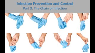 Infection Prevention and Control Training Part 3 The Chain of Infection [upl. by Neelahtak245]