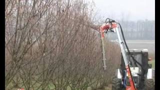 ORP Orchard pruner with disc Rinieri Potatrice a dischi [upl. by Gaylor]