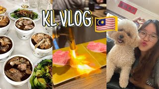 KL Vlog 2024 🇲🇾✨ 一起去 KL dimsum luge park cafe [upl. by Ahcorb]