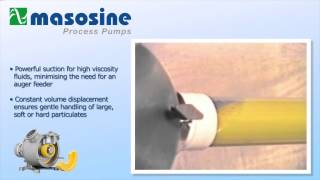 MasoSine Process Pumps [upl. by Maridel333]