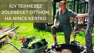 Borbás Marcsi Kertem  Így termessz zöldséget otthon ha nincs kerted 62 rész [upl. by Figone261]