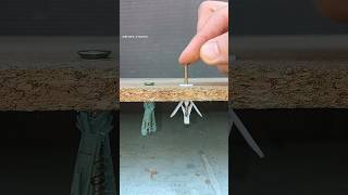 Helpful tips and tricks Always use correct dowel shrots tips skills viral [upl. by Leinod]