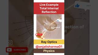 total internal reflection real life🔥must watch live example TIR rayopticsclass12 class12physics [upl. by Garfield286]