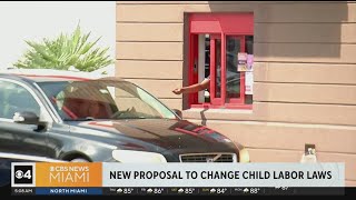 New proposal to change Floridas child labor laws [upl. by Anoid]