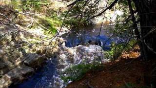 Spring Little Sturgeon River Meadowside Ontario Canada [upl. by Hayton]