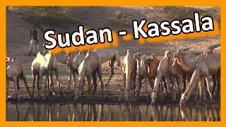 Sudan  Kassala [upl. by Akina]