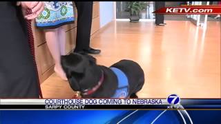 Nebraska to get its first courthouse dog [upl. by Aletha]