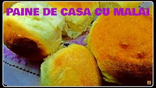 PAINE DE CASA CU MALAI [upl. by Ot]