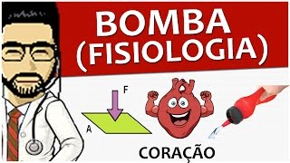 Coração 06  Função de bomba Fisiologia  Vídeo aula de Sistema circulatório [upl. by Llatsyrk644]