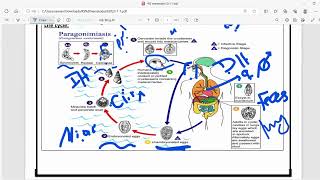 RS Micro  Paragonimus westermani and Echinococcus granulosus  Mutah [upl. by Aenet]