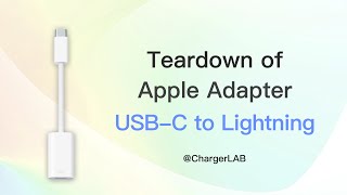 Teardown of Apple USBC to Lightning Adapter For iPhone amp Accessories [upl. by Arakaj]