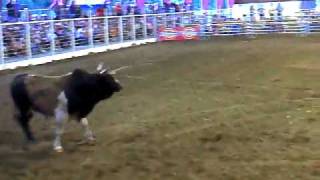 WildRideProductions Bull Poker Giddings 2010mp4 [upl. by Mannuela317]