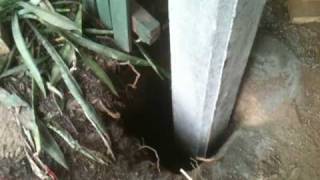 Fitting concrete posts to house in Auchenflower Brisbane Part 1 of 4 [upl. by Emory]