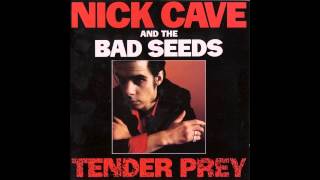 Nick Cave  Tender Prey  Full Album 720p HD [upl. by Nnylrac]