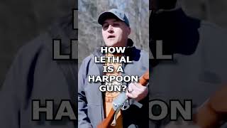 How lethal is a HARPOON GUN [upl. by Aerehs]