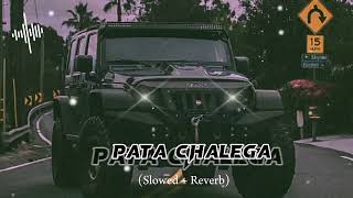 Pata Chalega Slowed and Reverb  Imran Khan  🎶 Lofi Music  By LoFi Beats [upl. by Donica858]