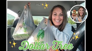 ✨NEW✨ DOLLAR TREE CAR HAUL  Great New 125 Finds [upl. by Tamer728]