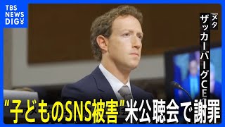 「子どもが自殺・性被害」米議会 SNS運営企業CEOを追及 「あなたたちの手は血塗られている」｜TBS NEWS DIG [upl. by Awahsoj378]