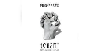 Tchami  Promesses feat Kaleem Taylor Extended Mix [upl. by Enomyar]