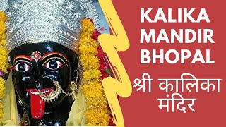 Kalika Mandir Bhopal  श्री कालिका मंदिर  India Video [upl. by Yelnek]