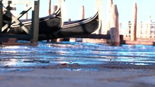 Acqua alta a Venezia 20 centimetri in piazza San Marco [upl. by Falo]