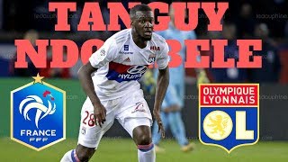 Tanguy Ndombele ● RISING STAR ● Skills Goals Assists 20172018 [upl. by Ereynihc]