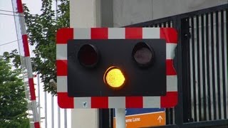 Level Crossing  Aviva Stadium [upl. by Noroj]