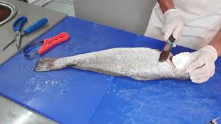 How to fillet a fresh Kabeljou Stilbaai vismark  How to fillet a fish [upl. by Joh621]