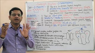 Cholinergic Drugs Part 02  Muscarinic amp Nicotinic Receptors  Cholinergic Receptors  Cholinergic [upl. by Dianne]