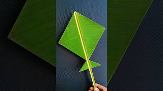 🇮🇳 Banana Leaf Tiranga Kite 🇮🇳  Painting On Leaf shorts trending youtubeshorts [upl. by Enixam]