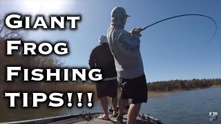 Lake Fork Spring Bass Fishing Frog Fishing Tips [upl. by Nodnelg]