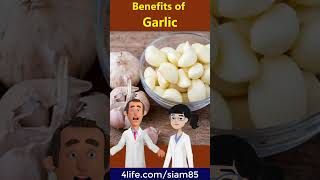 The benefits of Garlic for boosting immunity 4life immune 4lifetransferfactor healthproduct [upl. by Alleciram]