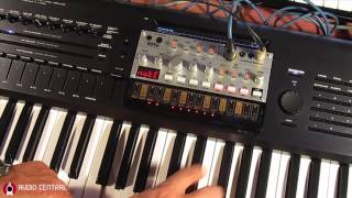 KORG Volca Bass as Synth Expander [upl. by Stesha541]