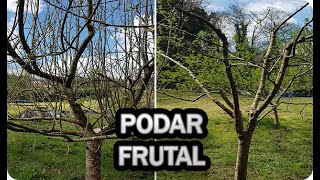 La Mejor Forma De Podar Un Frutal En Invierno Para Aumentar La Cosecha  La Huertina De Toni [upl. by Kenwood]