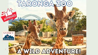 Dont Miss This 🦁🐨 A Wild Day at Taronga Zoo 🦒🐘 [upl. by Qidas]