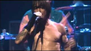 Red Hot Chili Peppers  Otherside  Live at Olympia Paris [upl. by Neram]