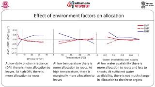 Biomass allocation and allometry [upl. by Ube]