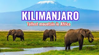 Mount Kilimanjaro Africa’s Majestic Peak 🏔️kilimanjaro [upl. by Kolk852]