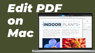 How to edit PDF on Mac  No Extra Software [upl. by Atalanti]