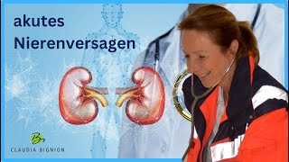 Alarmstufe Rot Akutes Nierenversagen entschlüsselt  Prärenal Renal Postrenal einfach erklärt [upl. by Zoha]