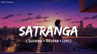 Satranga  Lofi Mix  Slowed  Reverb  Arijit Singh  Animal  SSR Lofi [upl. by Noyahs848]