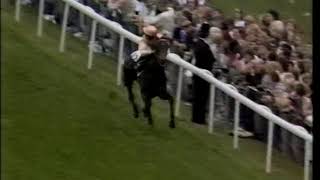 The History Of Epsom Derby UK Thoroughbreds 22 [upl. by Dilaw]