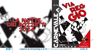 Carnevale di Viareggio 2024  La notte dei Bozzetti  13082023 [upl. by Lienhard]