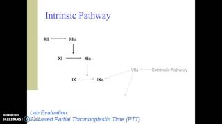 Part 2 Hemostasis amp Coagulation  Secondary Hemostasis [upl. by Eilram109]