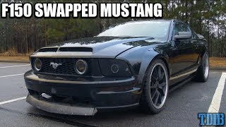 F150 Engine Swapped Mustang GT Review  A Surprisingly ROWDY Pony [upl. by Heywood]